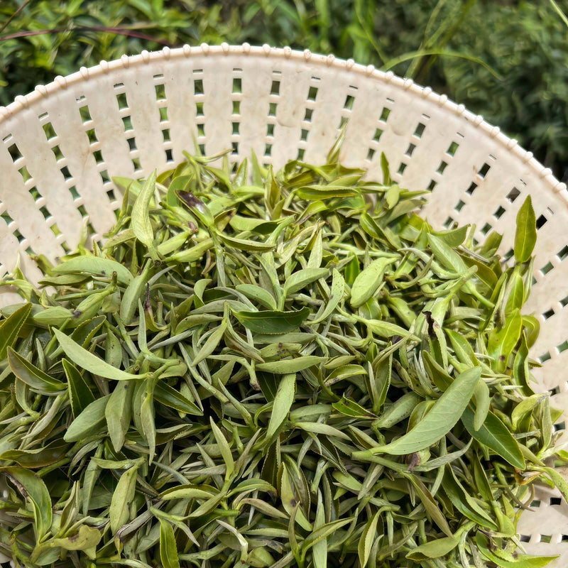 Dong Fang Hong hover image